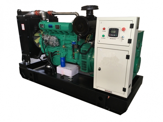 12kw-300kw ម៉ាស៊ីនភ្លើង Ricardo ម៉ាស៊ីន 