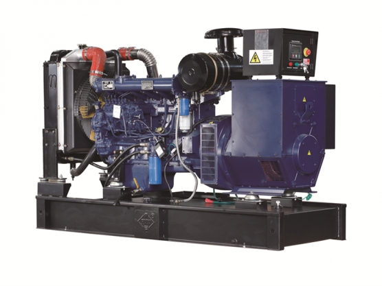 12kw-300kw ម៉ាស៊ីនភ្លើង Ricardo ម៉ាស៊ីន 